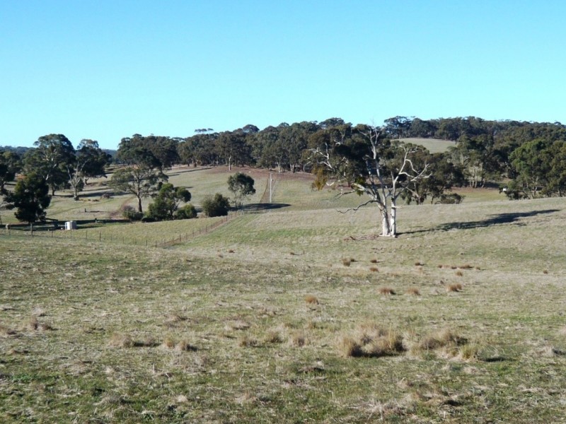 Lot 202 Scobie Road, Clare SA 5453