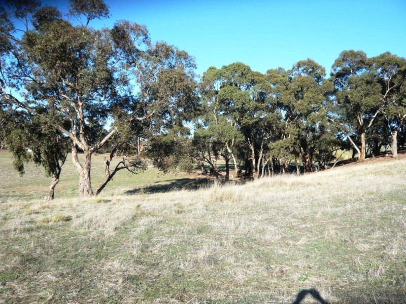 Lot 202 Scobie Road, Clare SA 5453