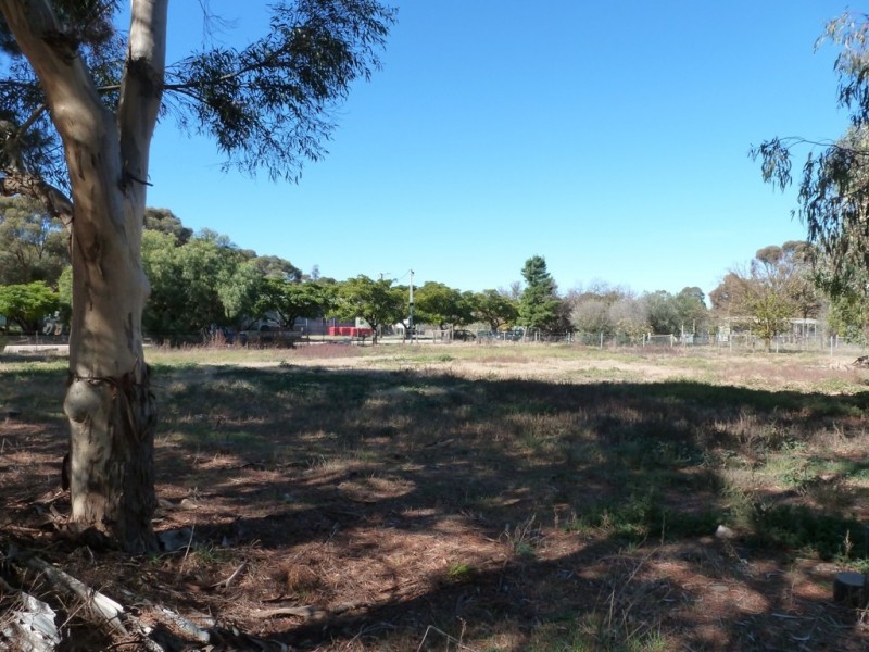 Lot 52 Young Street, Burra SA 5417