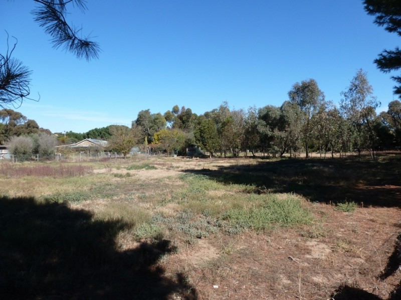 Lot 52 Young Street, Burra SA 5417