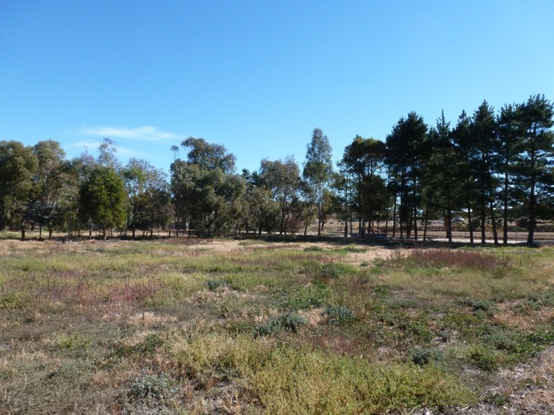 Lot 52 Young Street, Burra SA 5417