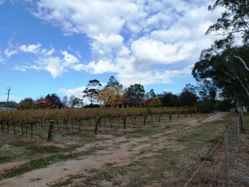 * 14.66ha Woodlands 36.2acs, Sevenhill SA 5453