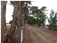 Lot 2 Bunama Lane, Clare SA 5453