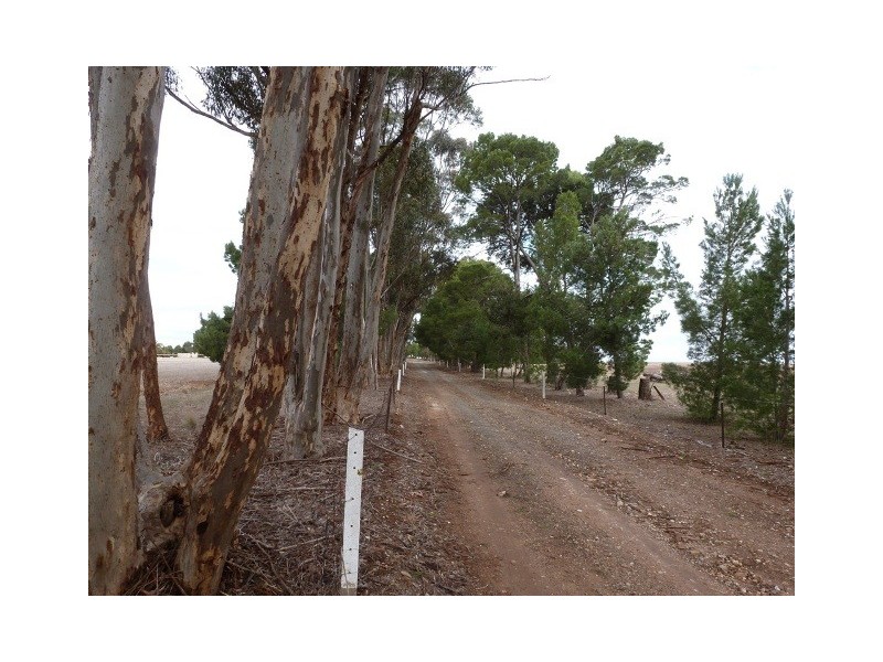Lot 2 Bunama Lane, Clare SA 5453
