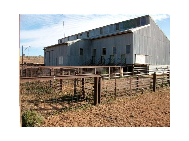 * Hawker to Leigh Creek Road, Hawker SA 5434