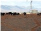 * Hawker to Leigh Creek Road, Hawker SA 5434