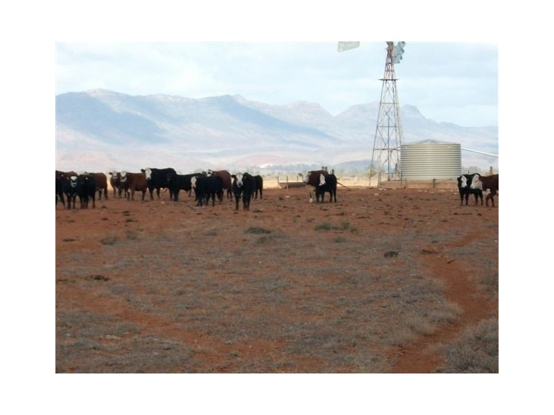 * Hawker to Leigh Creek Road, Hawker SA 5434
