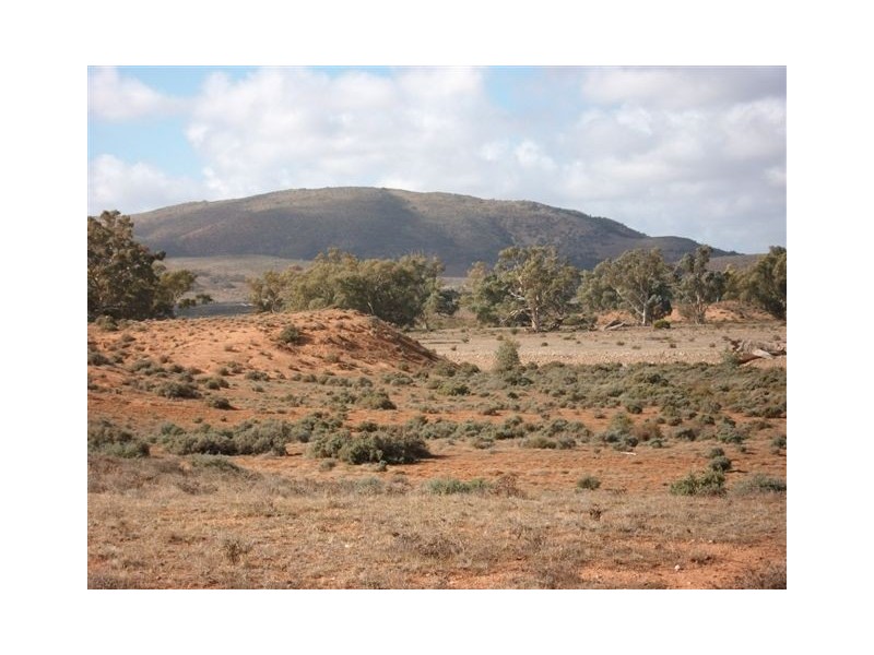 * Hawker to Leigh Creek Road, Hawker SA 5434