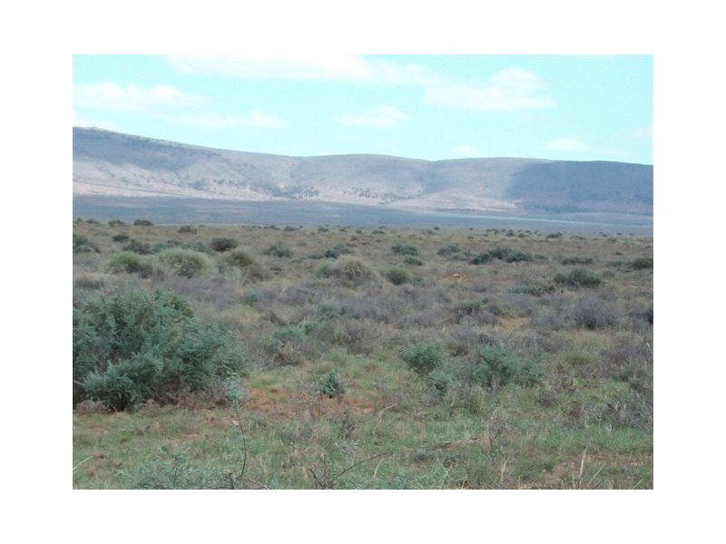 * Hawker to Leigh Creek Road, Hawker SA 5434