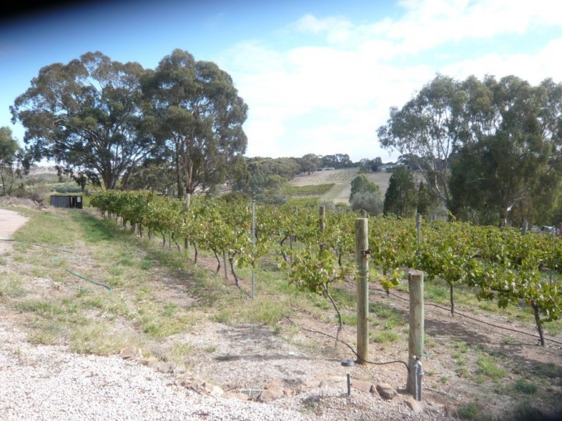 St George Terrace, Armagh SA 5453