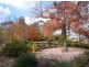 23 Agnes Street, Clare SA 5453