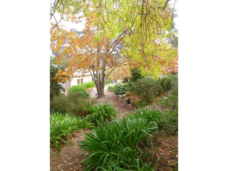 23 Agnes Street, Clare SA 5453