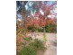 23 Agnes Street, Clare SA 5453