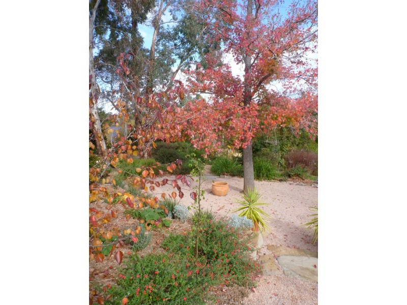 23 Agnes Street, Clare SA 5453