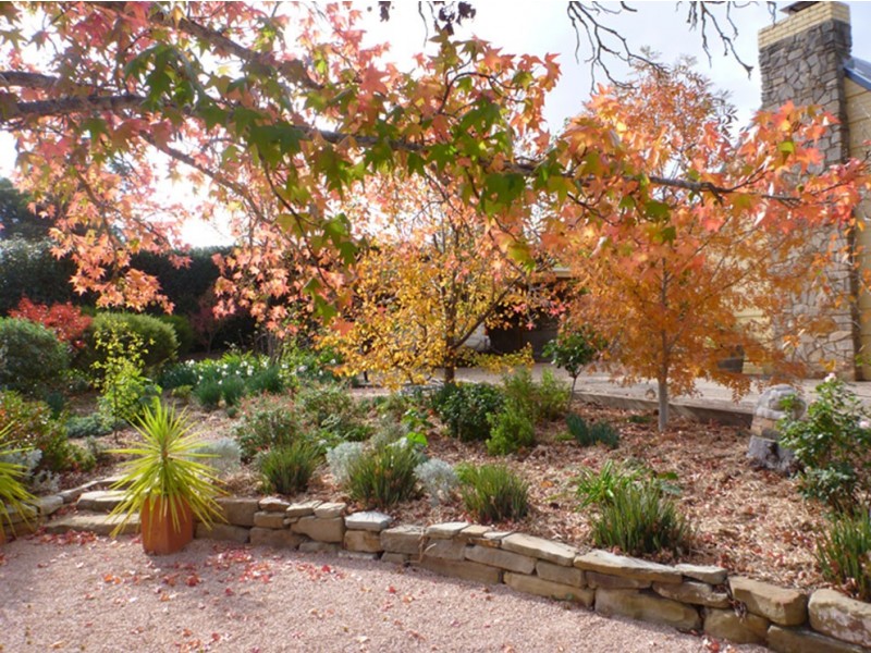 23 Agnes Street, Clare SA 5453