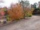 23 Agnes Street, Clare SA 5453