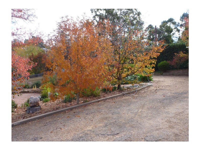 23 Agnes Street, Clare SA 5453