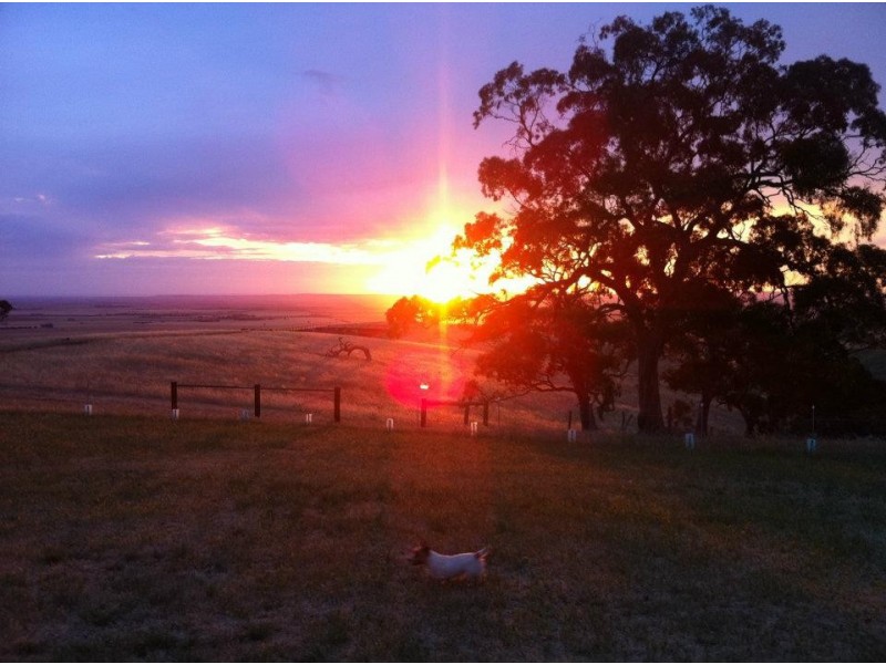 * 54.36ha “Just Sams” 134.3acs, Clare SA 5453
