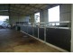 * 54.36ha “Just Sams” 134.3acs, Clare SA 5453