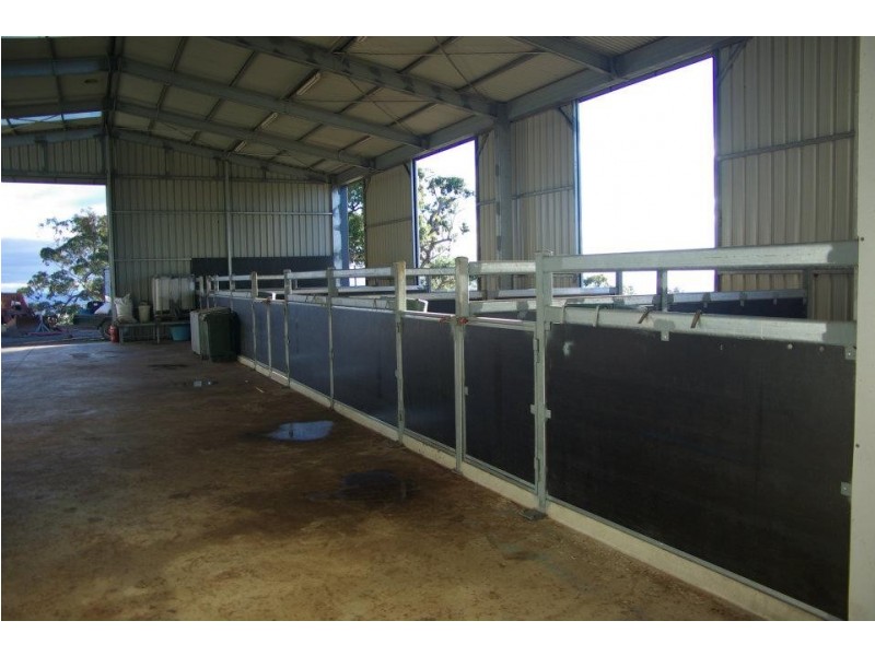 * 54.36ha “Just Sams” 134.3acs, Clare SA 5453