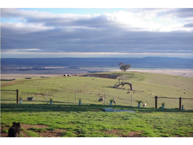 * 54.36ha “Just Sams” 134.3acs, Clare SA 5453