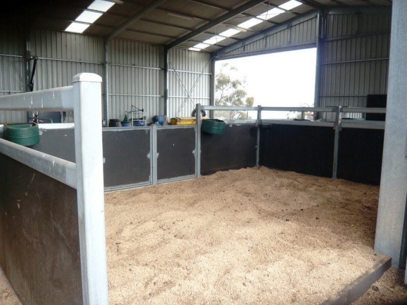 * 54.36ha “Just Sams” 134.3acs, Clare SA 5453