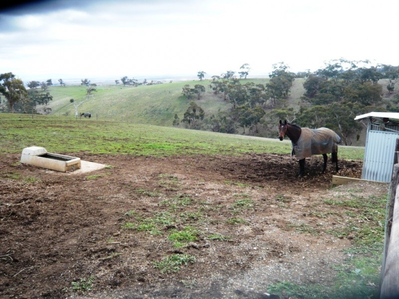 * 54.36ha “Just Sams” 134.3acs, Clare SA 5453