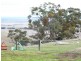 * 54.36ha “Just Sams” 134.3acs, Clare SA 5453