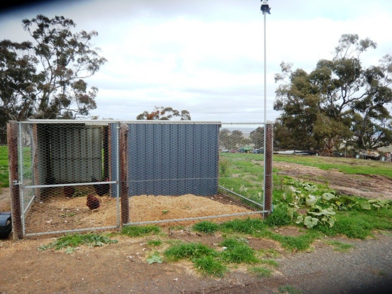 * 54.36ha “Just Sams” 134.3acs, Clare SA 5453