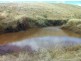 * 54.36ha “Just Sams” 134.3acs, Clare SA 5453