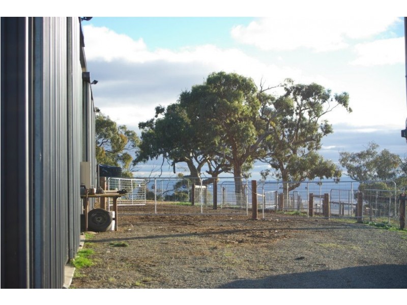 * 54.36ha “Just Sams” 134.3acs, Clare SA 5453