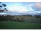 * 54.36ha “Just Sams” 134.3acs, Clare SA 5453