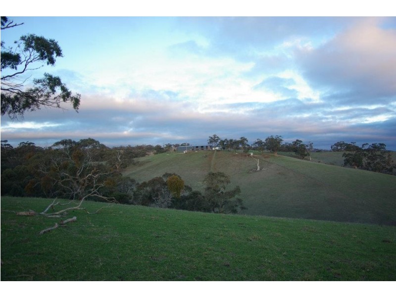 * 54.36ha “Just Sams” 134.3acs, Clare SA 5453