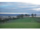 * 54.36ha “Just Sams” 134.3acs, Clare SA 5453