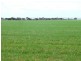* 287.74ha “TIROROA” 711acs, Blyth SA 5462