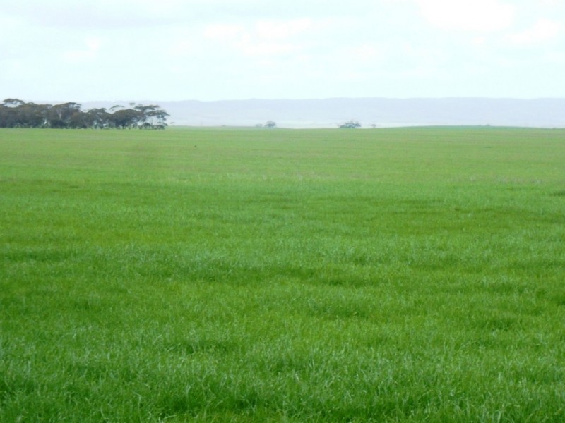 * 287.74ha “TIROROA” 711acs, Blyth SA 5462