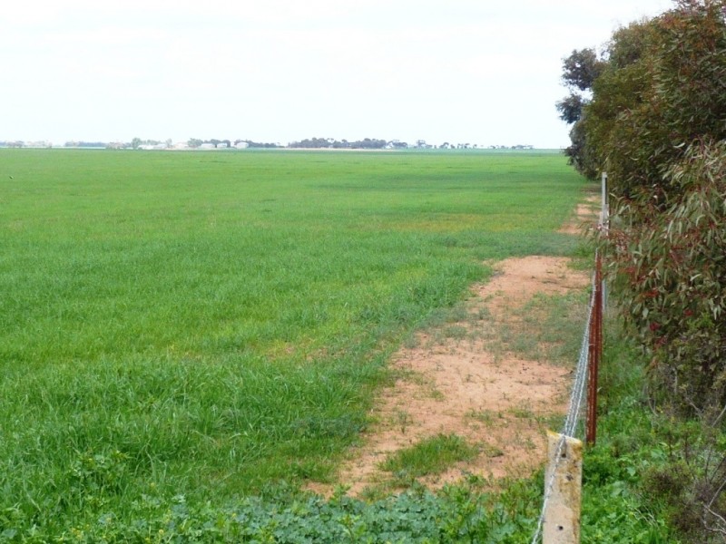 * 287.74ha “TIROROA” 711acs, Blyth SA 5462