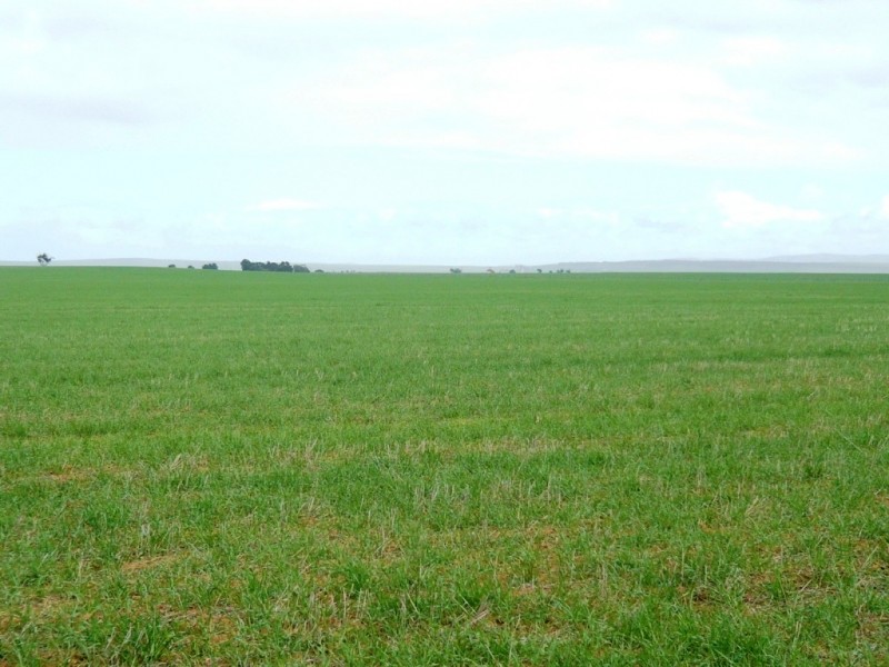* 287.74ha “TIROROA” 711acs, Blyth SA 5462