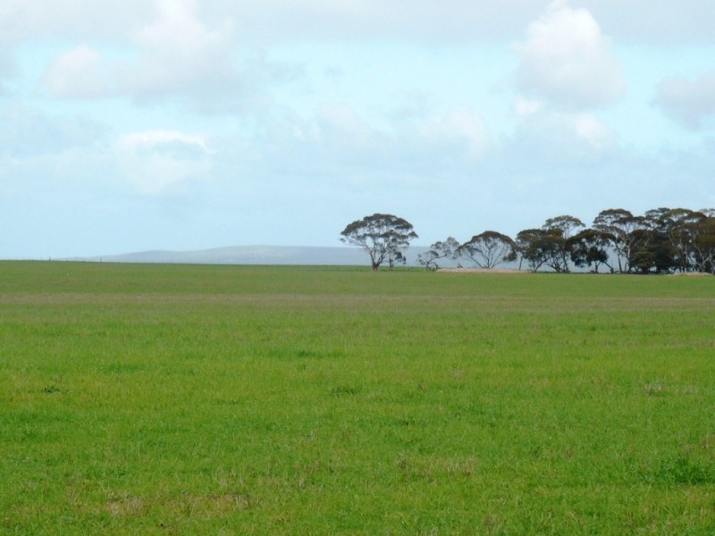 * 287.74ha “TIROROA” 711acs, Blyth SA 5462