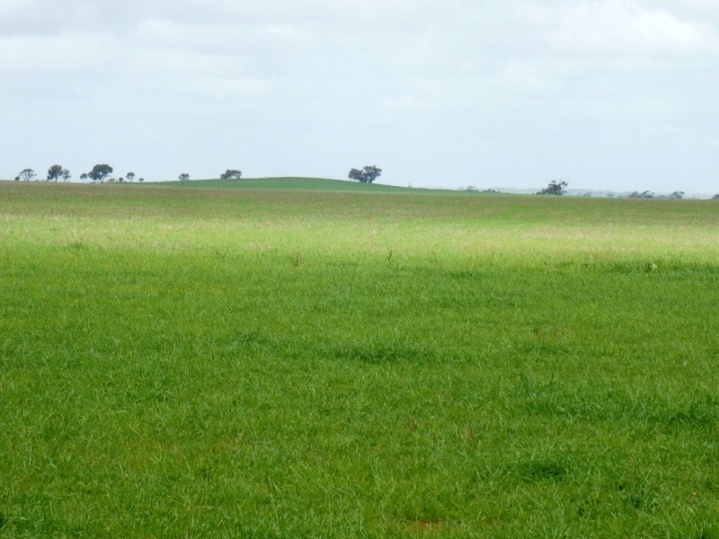 * 287.74ha “TIROROA” 711acs, Blyth SA 5462