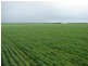 * 552.69ha Arltunga/ Hickmans 1365.5acs, Stansbury SA 5582