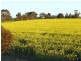* 552.69ha Arltunga/ Hickmans 1365.5acs, Stansbury SA 5582