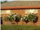 * 552.69ha Arltunga/ Hickmans 1365.5acs, Stansbury SA 5582