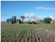 * 552.69ha Arltunga/ Hickmans 1365.5acs, Stansbury SA 5582
