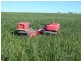 * 552.69ha Arltunga/ Hickmans 1365.5acs, Stansbury SA 5582