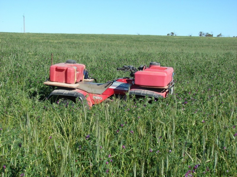 * 552.69ha Arltunga/ Hickmans 1365.5acs, Stansbury SA 5582