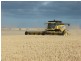* 552.69ha Arltunga/ Hickmans 1365.5acs, Stansbury SA 5582
