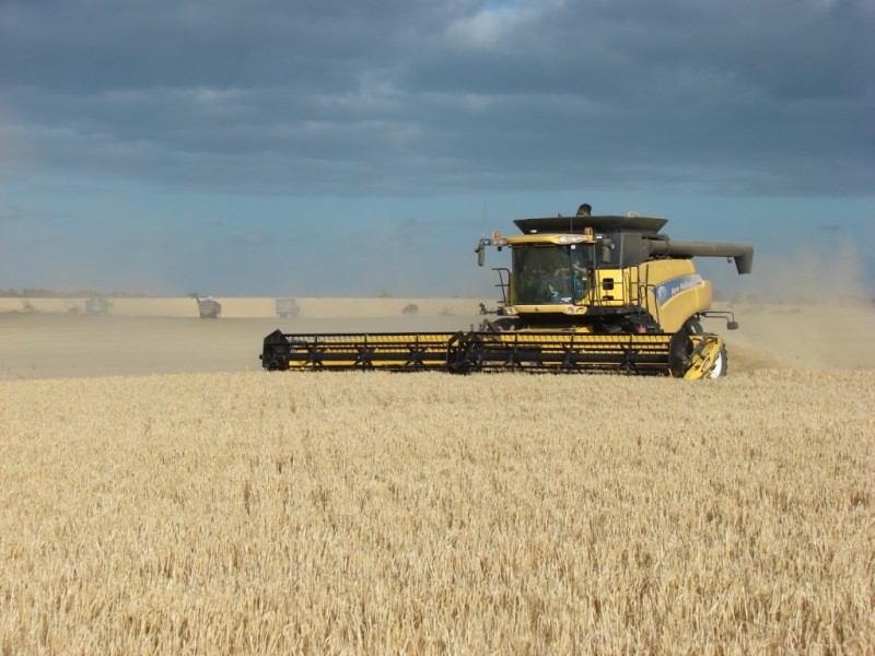 * 552.69ha Arltunga/ Hickmans 1365.5acs, Stansbury SA 5582