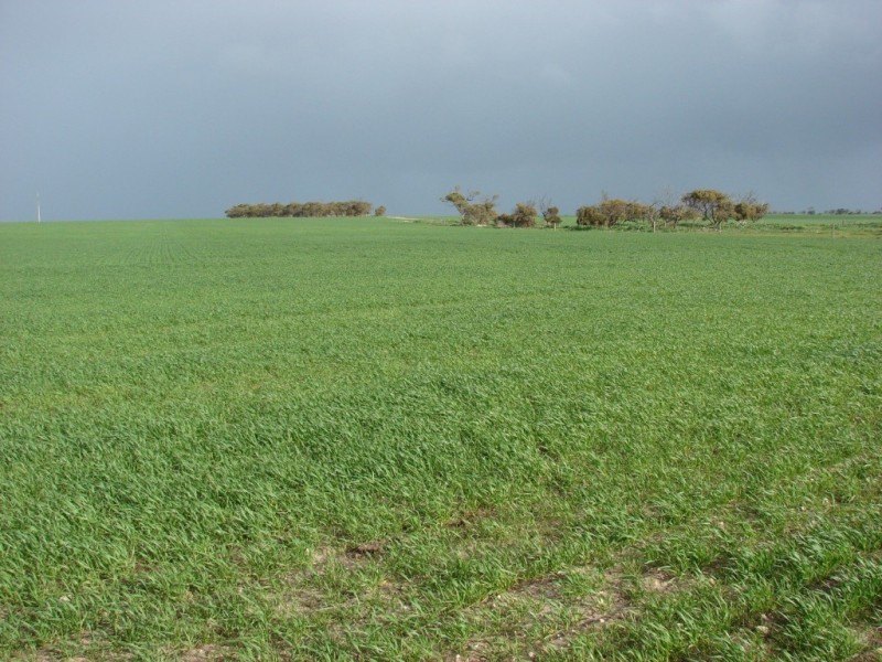* 552.69ha Arltunga/ Hickmans 1365.5acs, Stansbury SA 5582