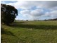 Lot 381 Slate Quarry Road, Mintaro SA 5415